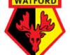 watford.jpg
