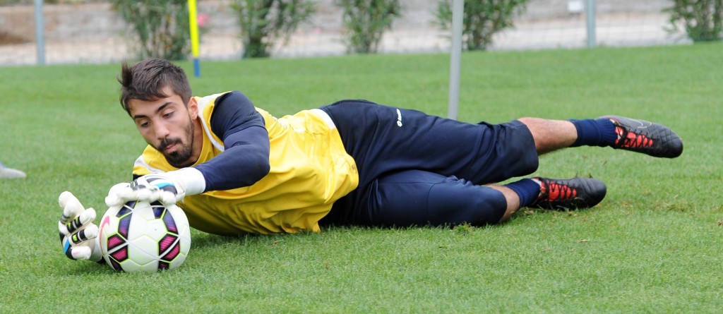 lamanna.jpg
