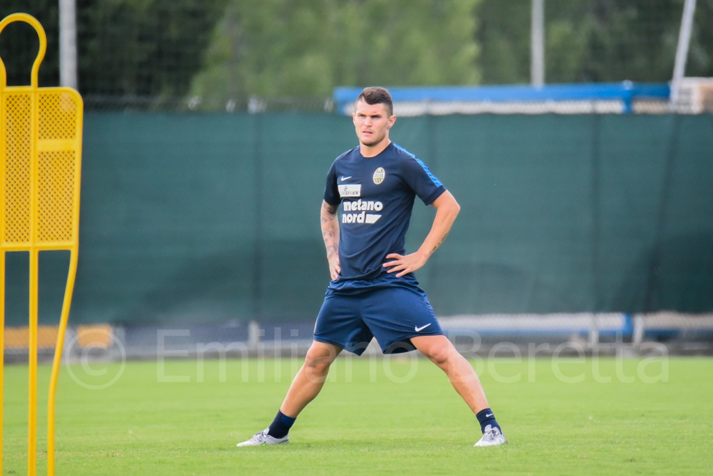 viviani1.jpg