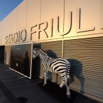 stadiofriuli