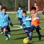 img_archivio1261201512489.jpg