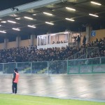 Tribuna