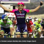 a882b902-1c4d-4c47-b9f8-0e10a3a9fe49_medium_p