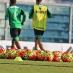 SACCHI A SASSUOLO