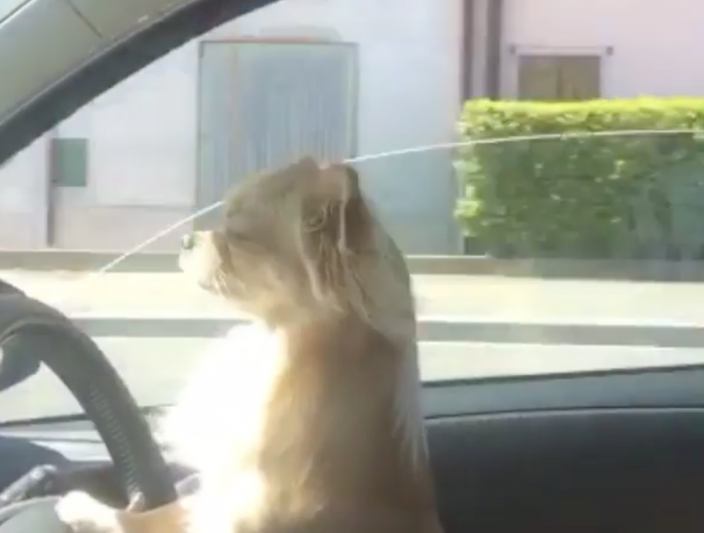 Schermata 2016-04-22 alle 08.31.19