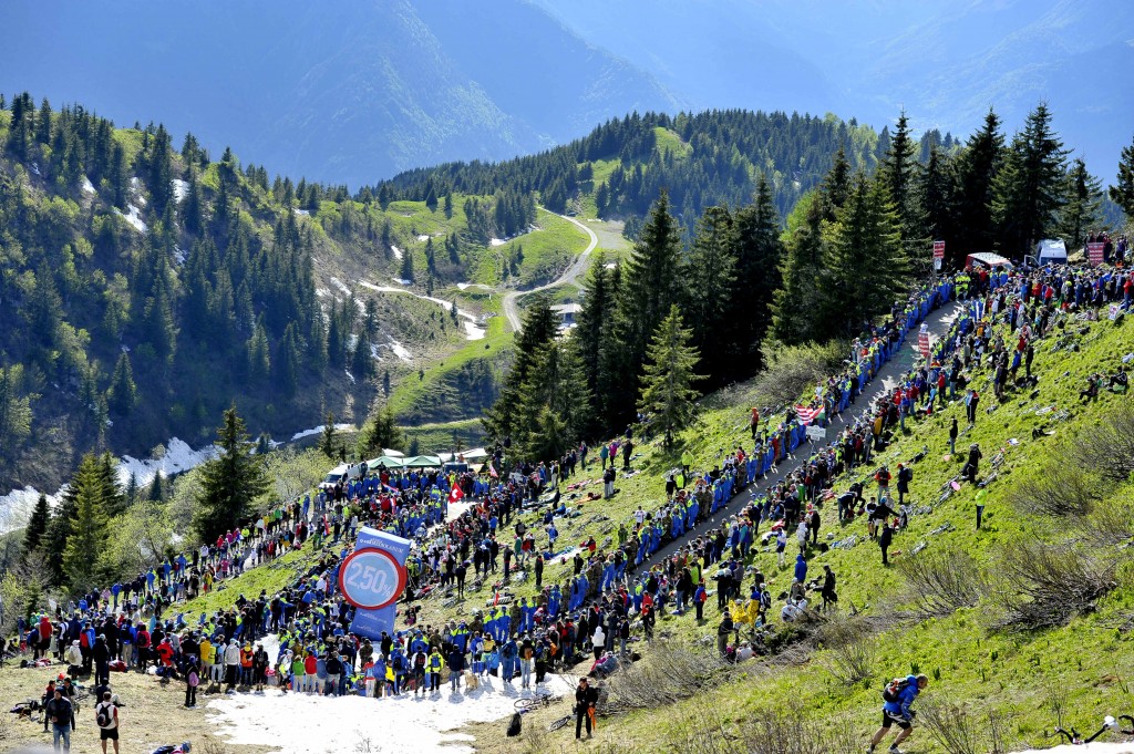 Giro d'Italia 2014, tappa 20 Maniago - Zoncolan