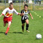 Torneo Pulcini2