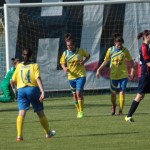 tav-vittven