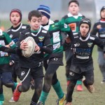 Mini rugby