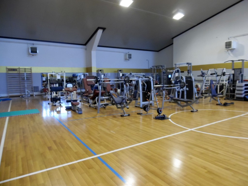 Udinese palestra stadio friuli 2