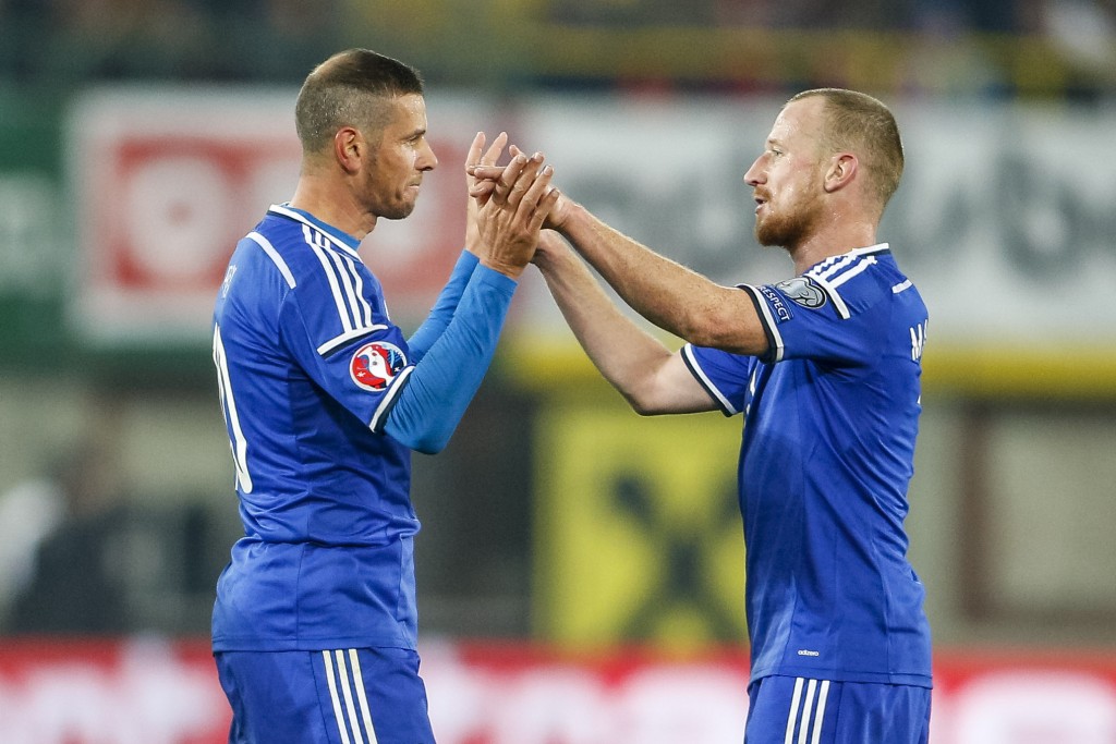 Austria v Liechtenstein - UEFA EURO 2016 Qualifier
