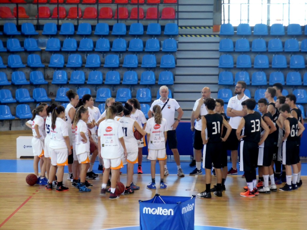 Pala Carnera Delser Gsa Udine