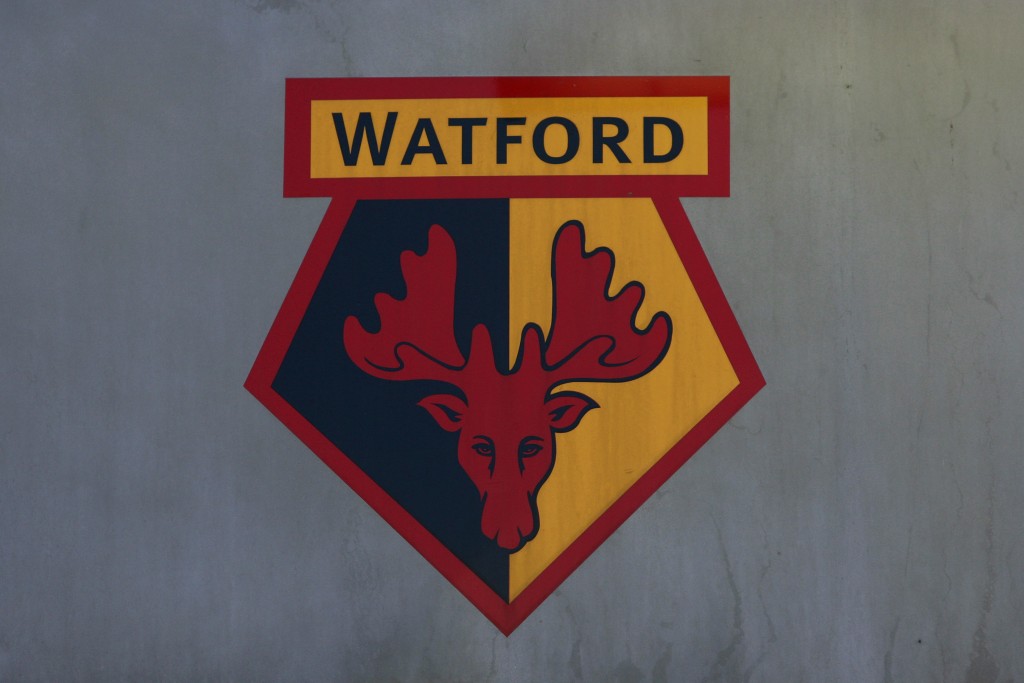 Watford v Hull - npower Championship