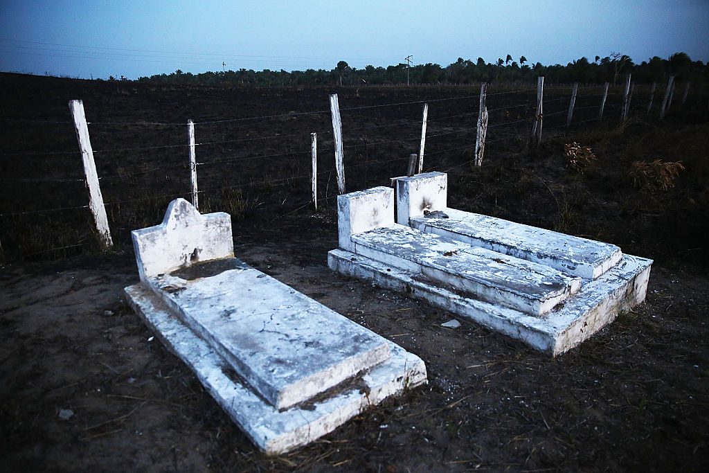Deforestation In Brazil's Amazon Skyrockets After Years Of Decline