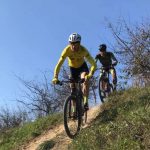 pittacolomtb19_thumb_highlightcenter209152