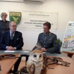 Bracconaggio: sequestrati 342 uccelli in Friuli, 11 indagati