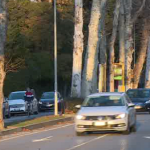 1600x1200_1579543357603-viale_venezia_ok