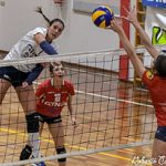 lombardo4_thumb_highlightcenter213597