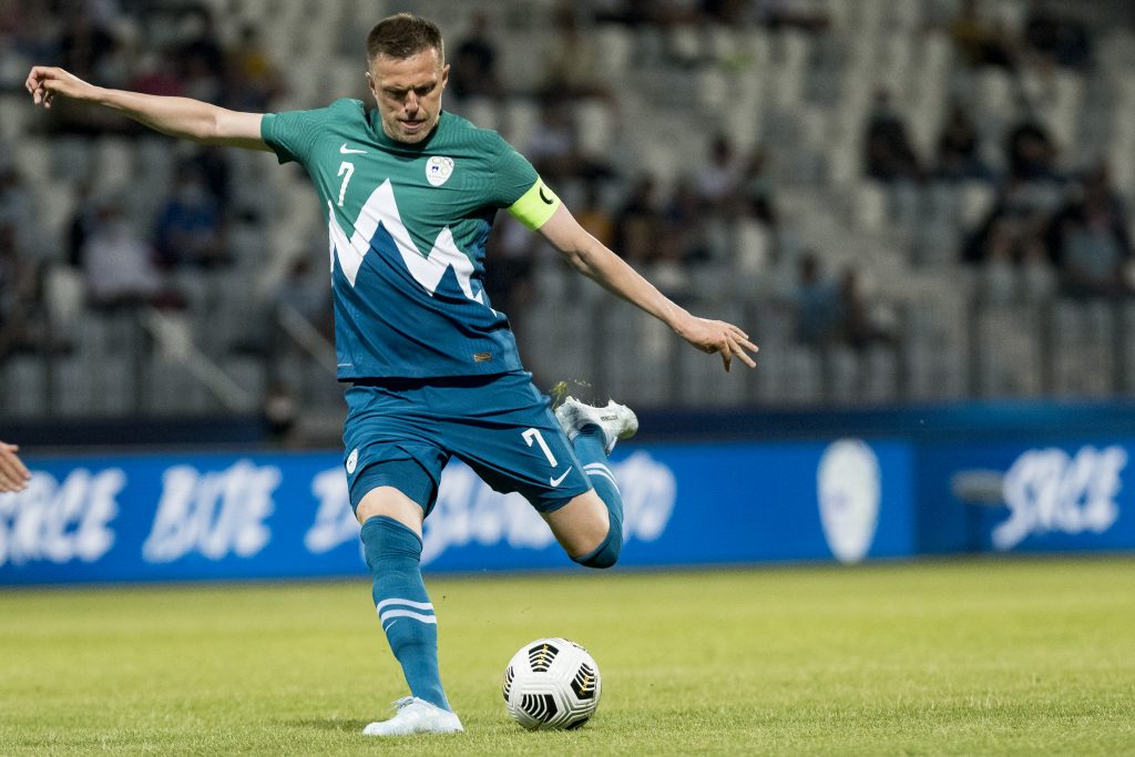 Josip Ilicic